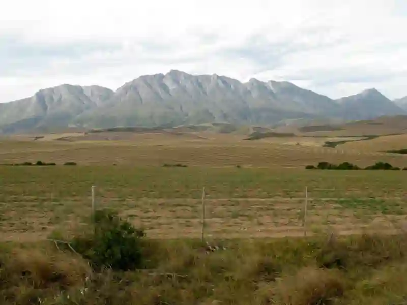 Swellendam - med bjerge i baggrunden, Sydafrika