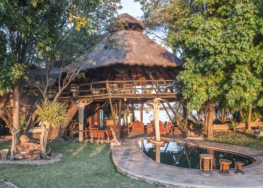 Musango Safari Camp i Zimbabwe
