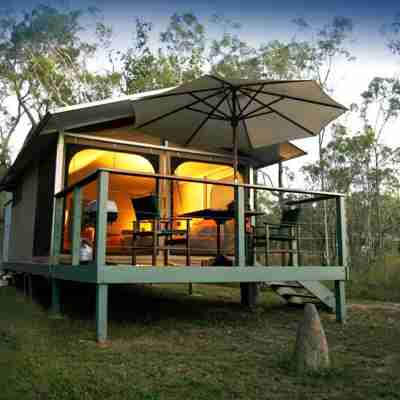 Telt i Paperbark Camp, Australien