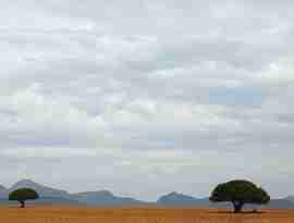Karoo landskab, Sydafrika
