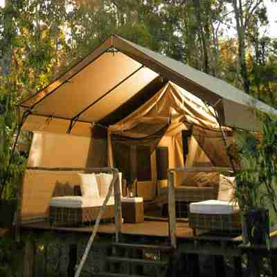 Et af teltene på Paperbark Camp, Australien