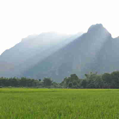 Grønne marker med bjerge i baggrunden, Vang Vieng