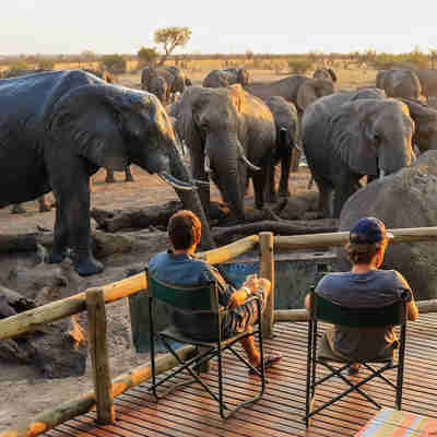 Oplev elefanter på en rejse til Zimbabwe