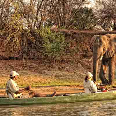 Kano safari på Zambezi floden