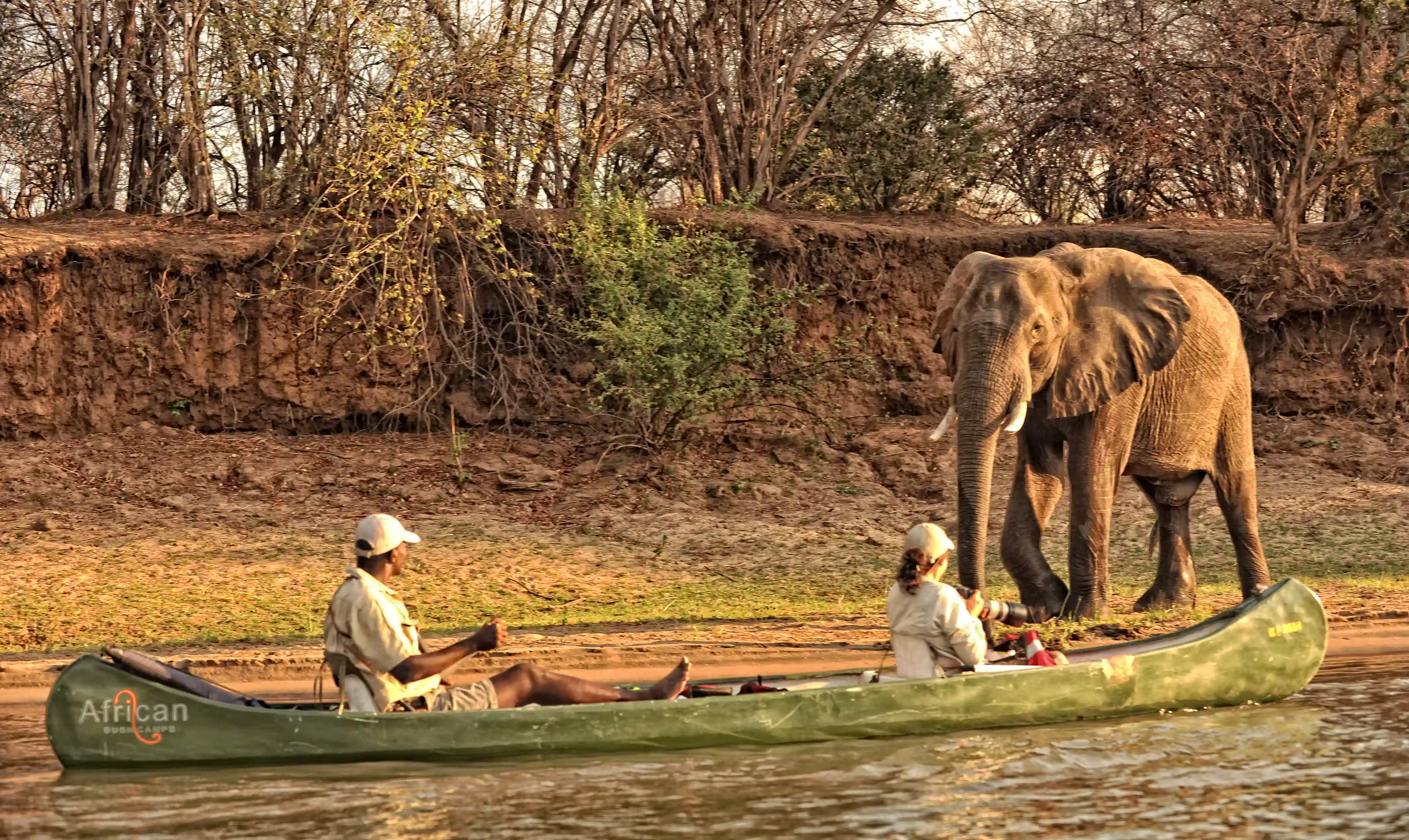 Kanosafari på Zambezi floden