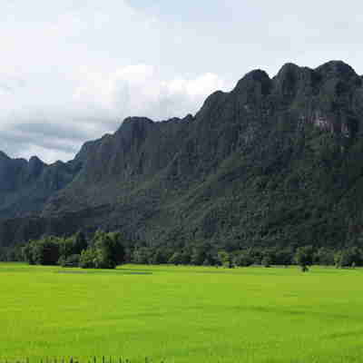 Grønne marker og bjerge ved Hin Boun