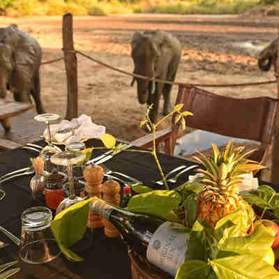 Aftensmad omgivet af elefanter ved vandhullet, Kanga Mana Pools