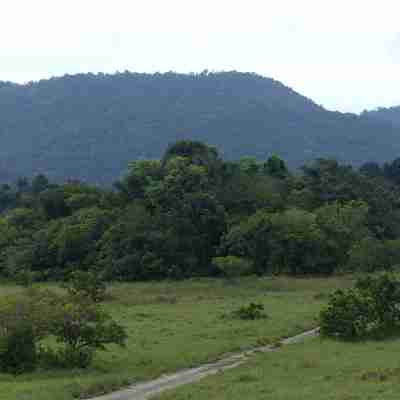 guyana landskab