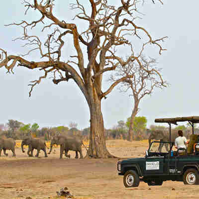safari i afrika
