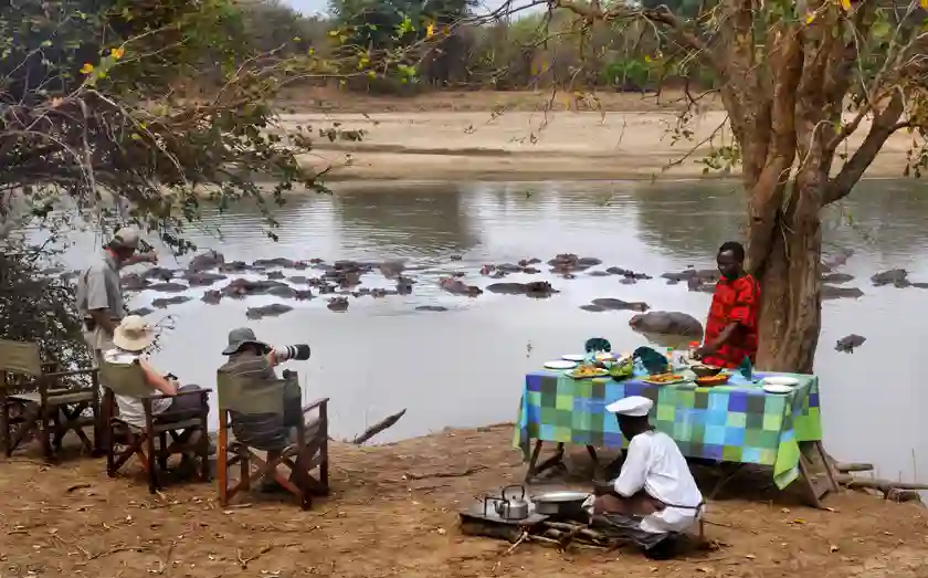 Morgenmad med flodhestene, Mwaleshi, Zambia