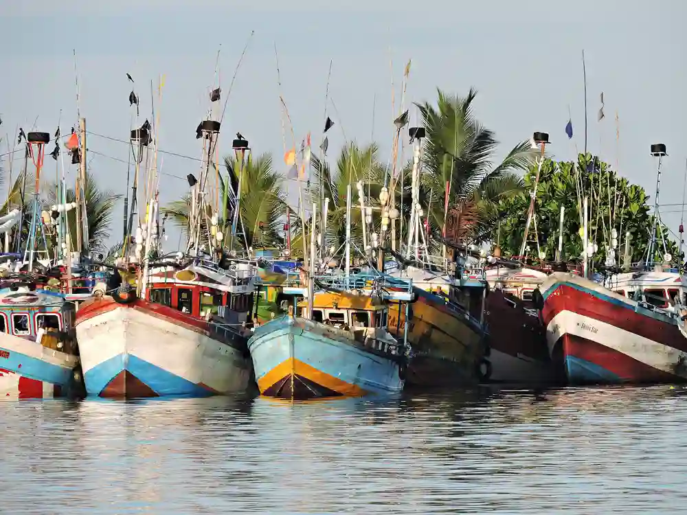 Lokale fiskerbåde, Mirissa, Sri Lanka