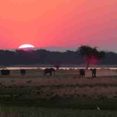 Solnedgang og en flok elefanter i Mana Pools