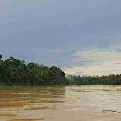 Sejltur på floden, Borneo