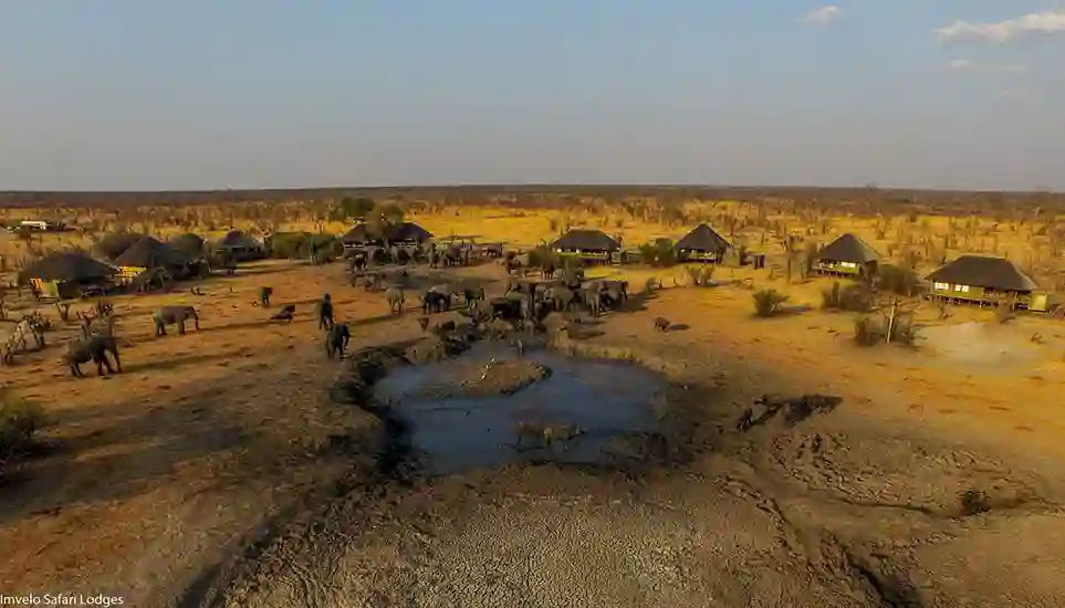 Udsigt til elefanter i zimbabwe på Nehimba Lodge