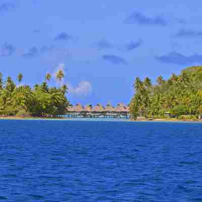 Nogle af de berømte over-water bungalower på Bora Bora