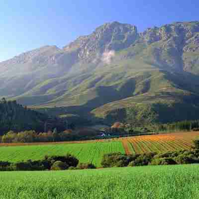 Grønne maker i vinlandet Stellenbosch