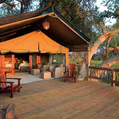 Gunn's Safari Camp, Botswana