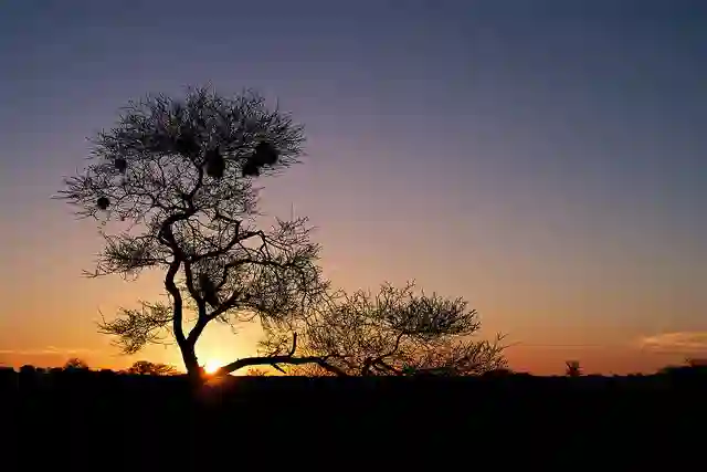 Solnedgang over Nxai Pan, Botswana