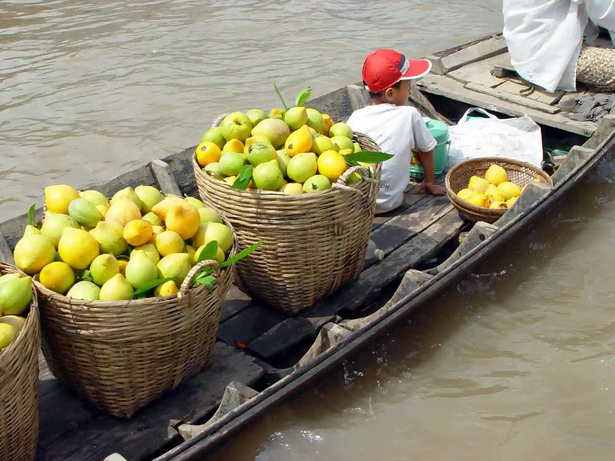 Frugthandler i Mekong deltaet, Vietnam