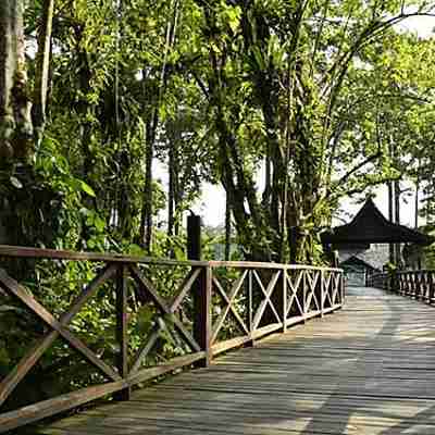 Sukao Rainforest Lodge, Borneo