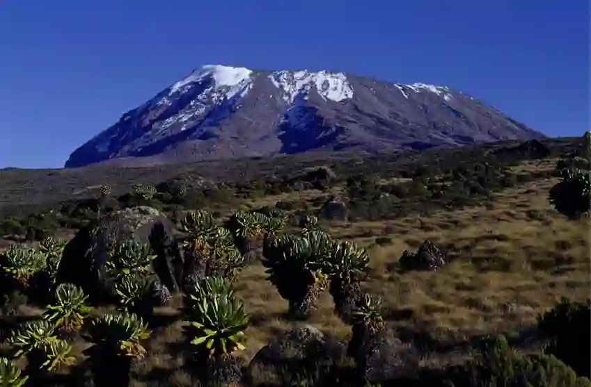 Kilimanjao fra Horombo