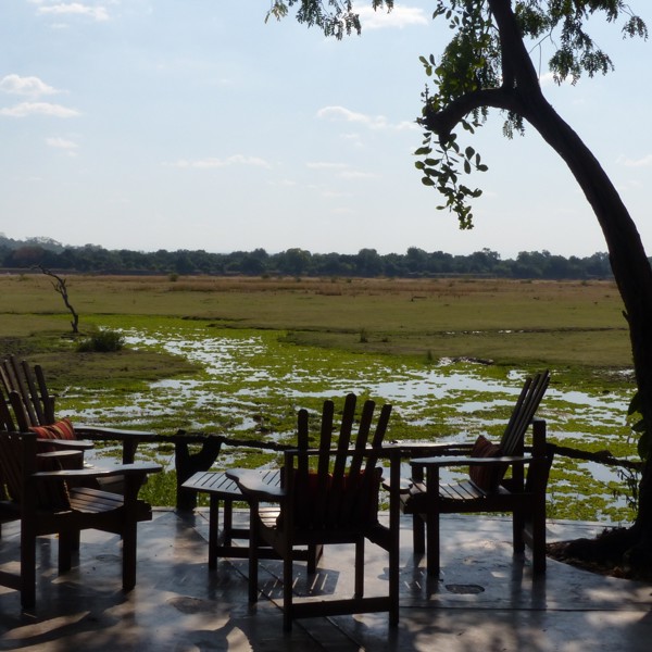 South Luangwa, Zambia