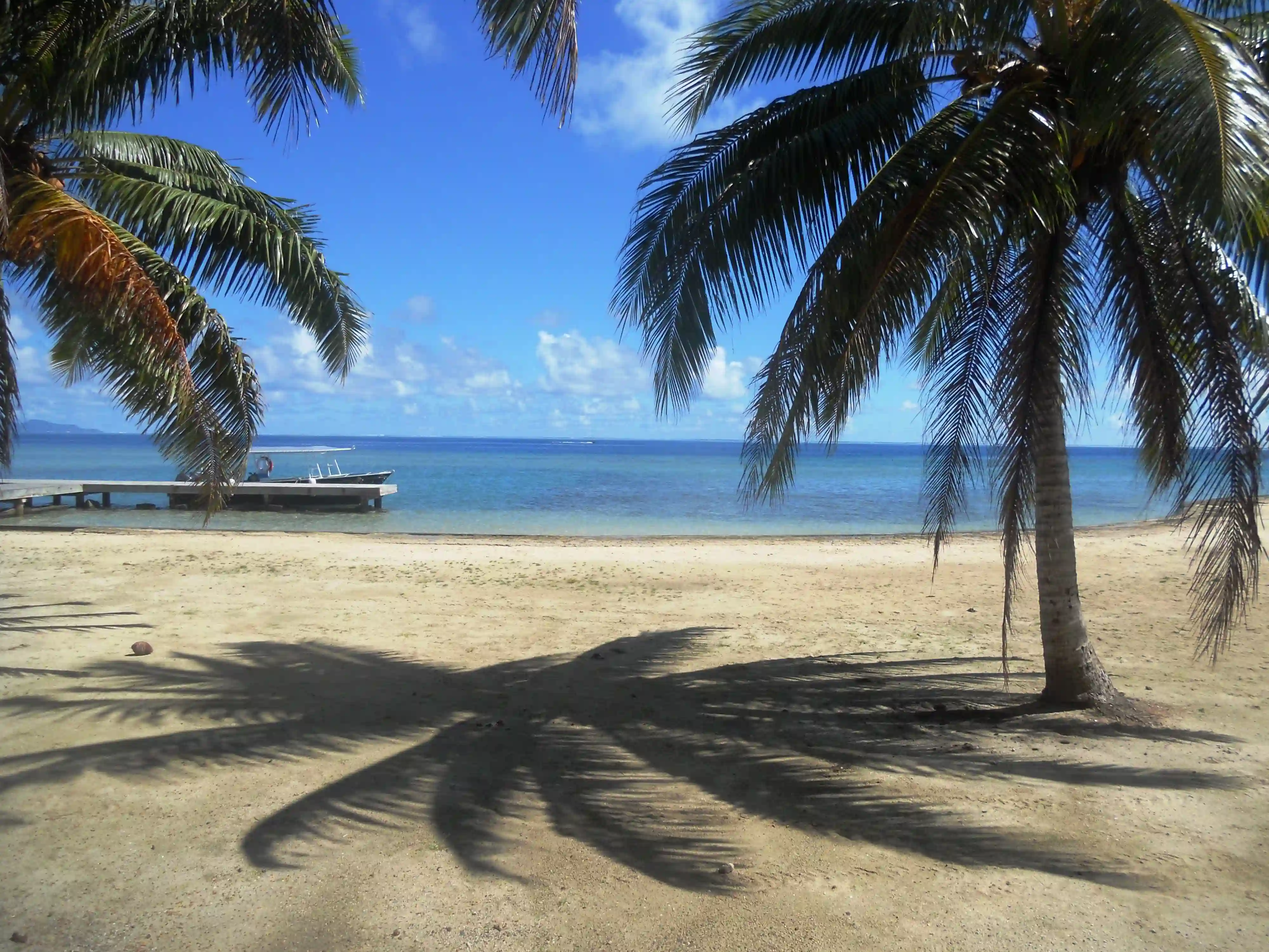 Raiatea, palmer