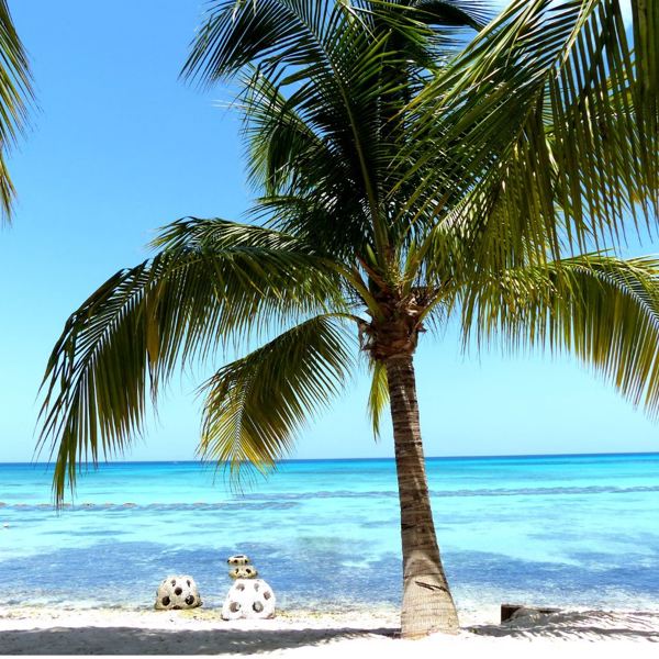 Masser af  sol og strand i Den Dominikanske Republik