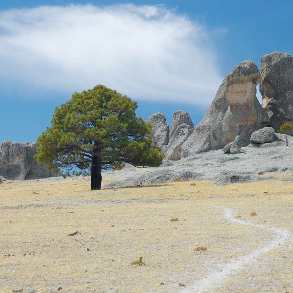 Landskabet ved Creel, Mexico