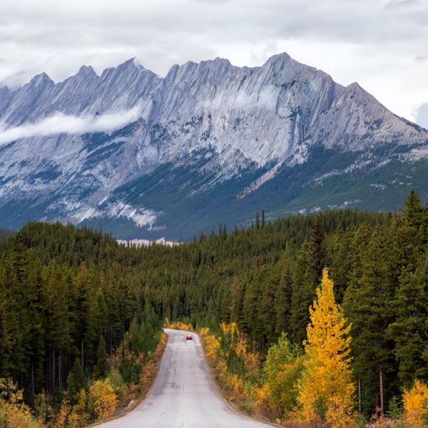 Landevej i Jasper - roadtrip i Canada - Icefields Parkway