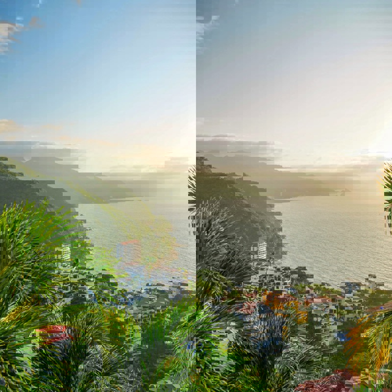 chris-mcqueen-f60ysZEQgR8-unsplash