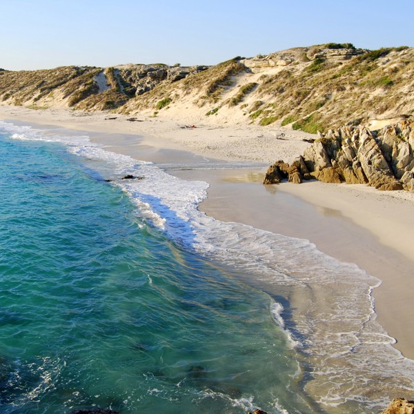 Gåur på stranden ved Grootbos, Sydafrika