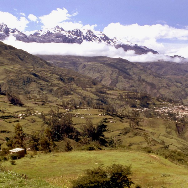 yungas