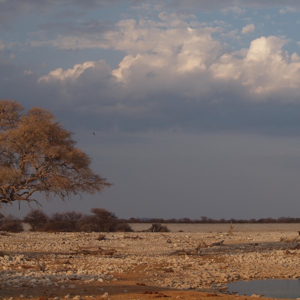 Udsigt til tordenvejr, Etosha, Namibia