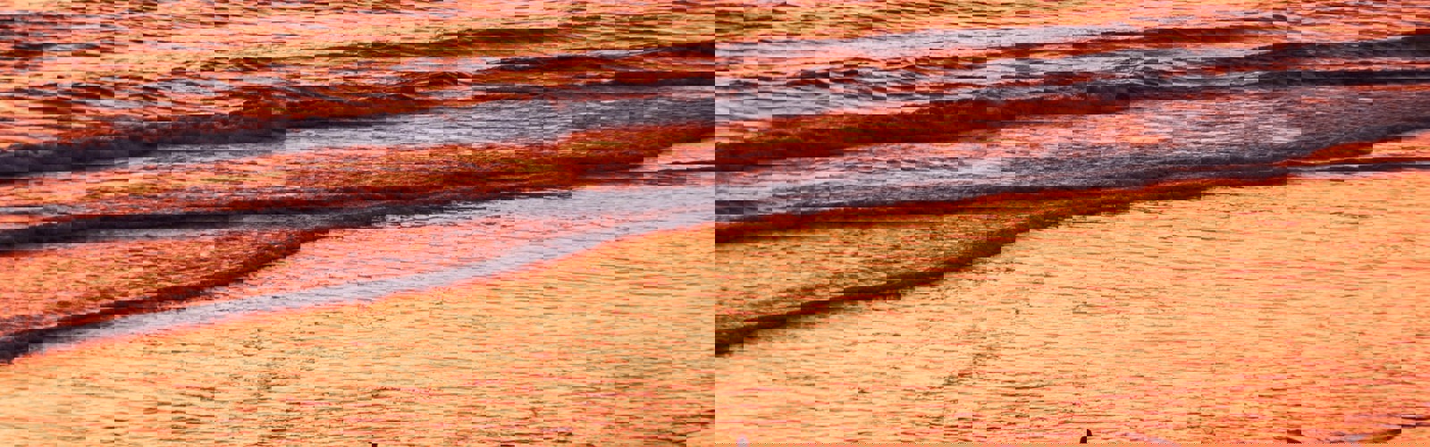 bobby-stevenson-HvntOpS_3tA-unsplash