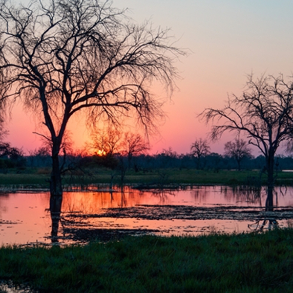 Smuk rød himmel, Moremi