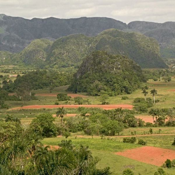 Viñales i Cuba
