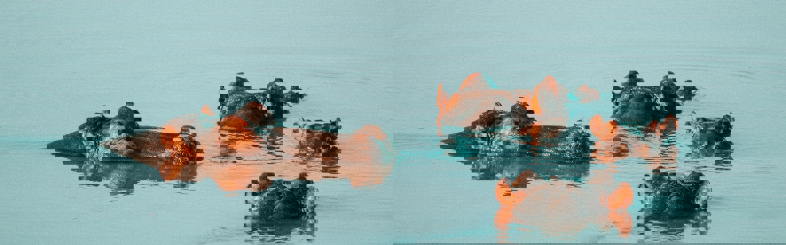 wade-lambert-2q5aDZUq2M4-unsplash