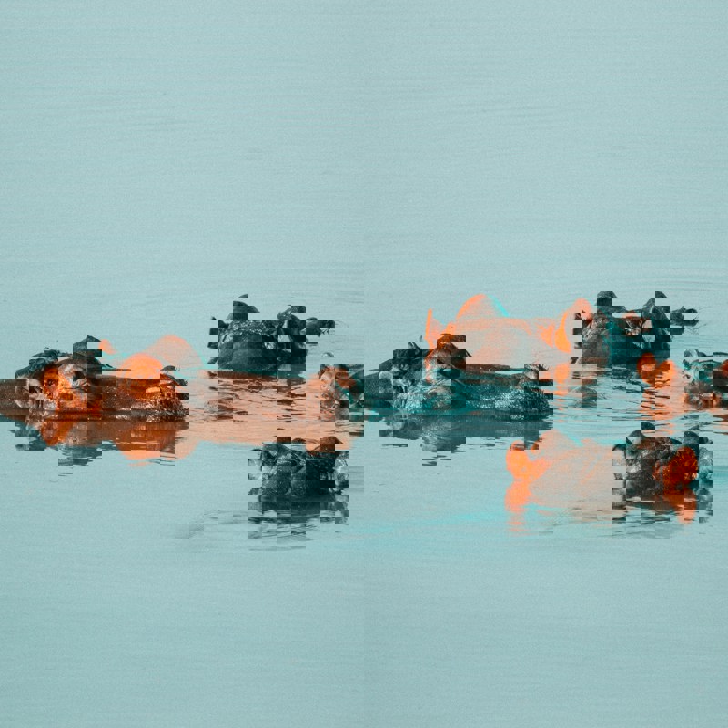 wade-lambert-2q5aDZUq2M4-unsplash