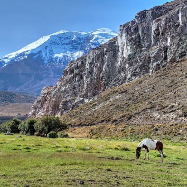 Chimborazo National Park - Ecuador