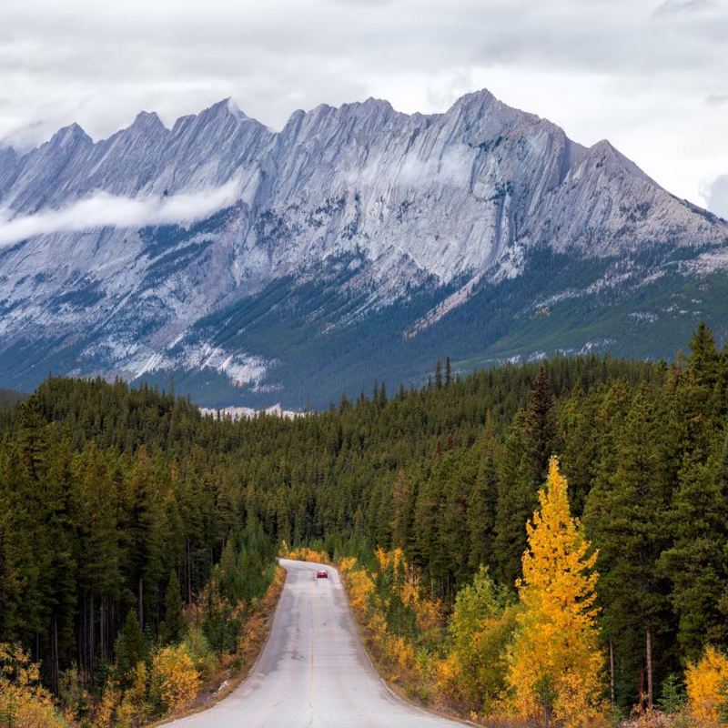 Jasper National Park Mountain
