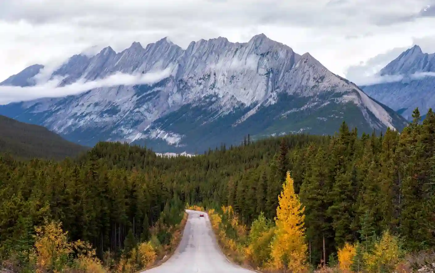 Jasper National Park Mountain