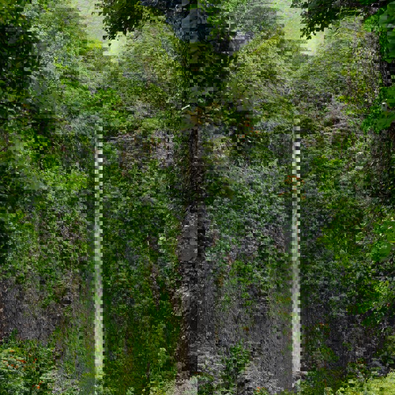 justin-hu-c4xx0tjVbkg-unsplash