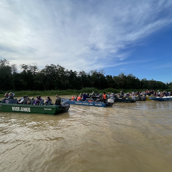 Kinabatangan
