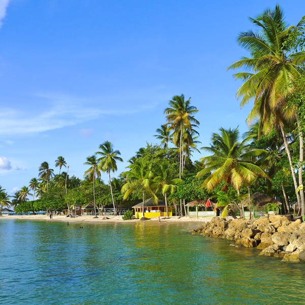 Palmerne står ranke, Trinidad & Tobago