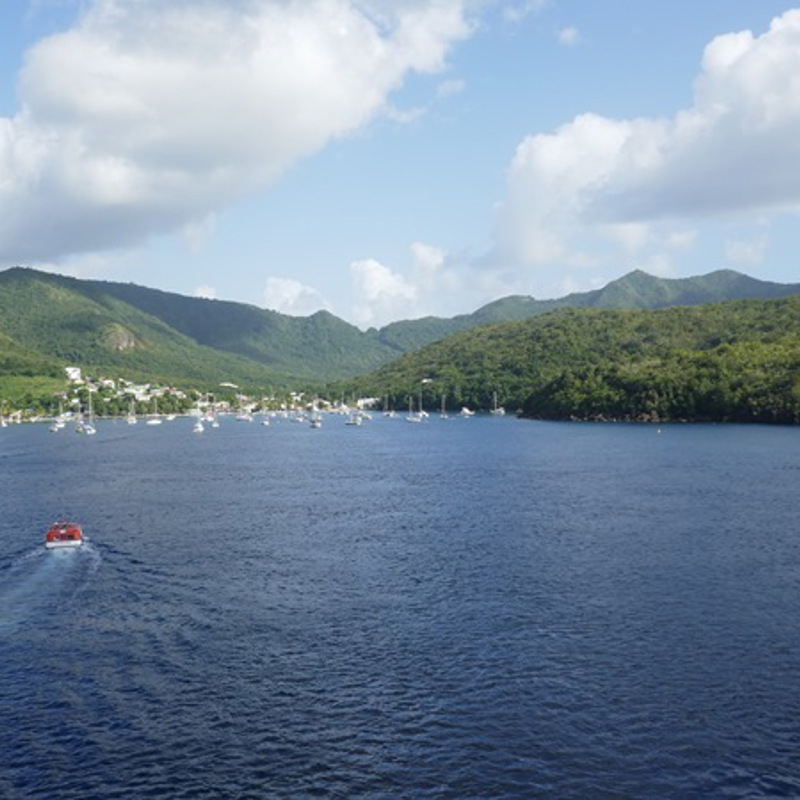 Rislende bæk i frodigt landskab på Martinique