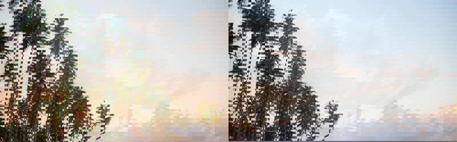 robin-canfield-n_OCaVll4io-unsplash