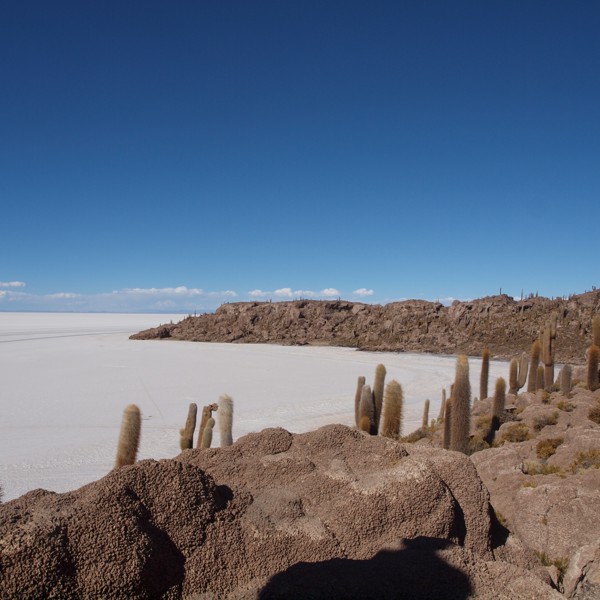 saltørkenen bolivia