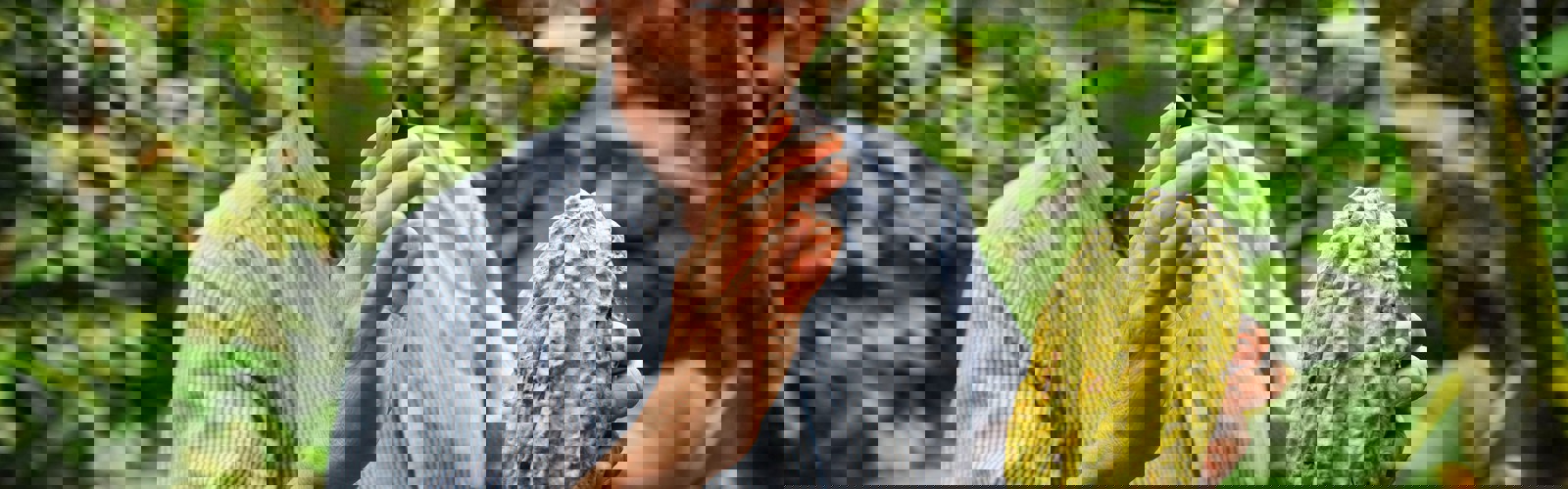 kiyoshi-X56-yybqCGM-unsplash