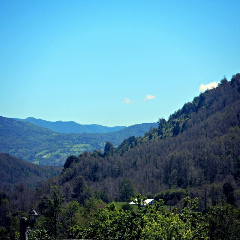 pucon